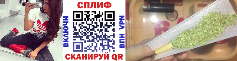 Бошки Шишки THC 21%  hydra ссылки  Городовиковск 